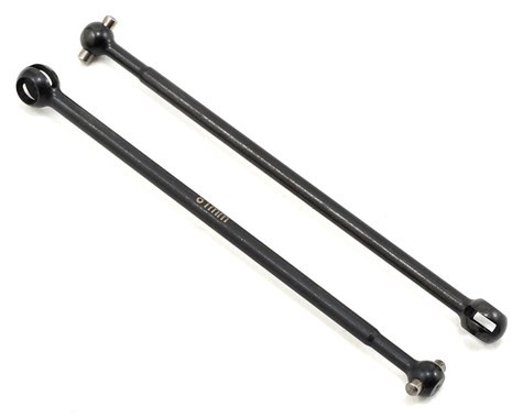 CVA Bone T5M