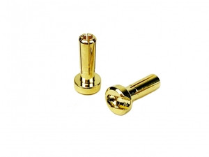 4mm LowPro Bullet Plugs (2)