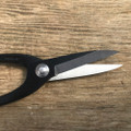 Tinyroots Bowed Carbon Steel Bonsai Shears