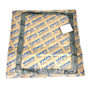 Volvo Penta 859036 GASKET