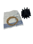 Volvo Penta 876120 Impeller Kit