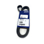 Volvo Penta 3827273 Drive Belt