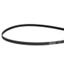 Volvo Penta 3861500 BELT