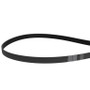 Volvo Penta 21955032 V-RIBBED BELT