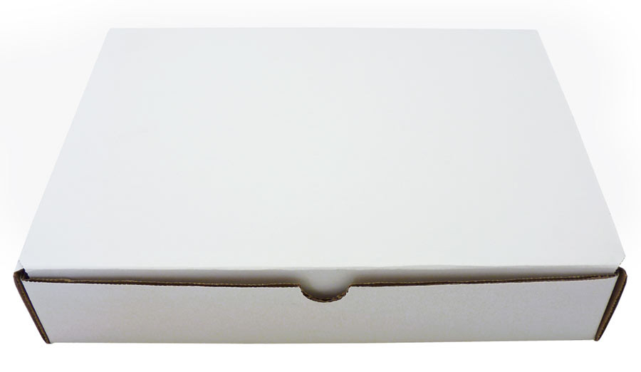 Insect Collection Box Display Your Bugs in this Basic Insect Box