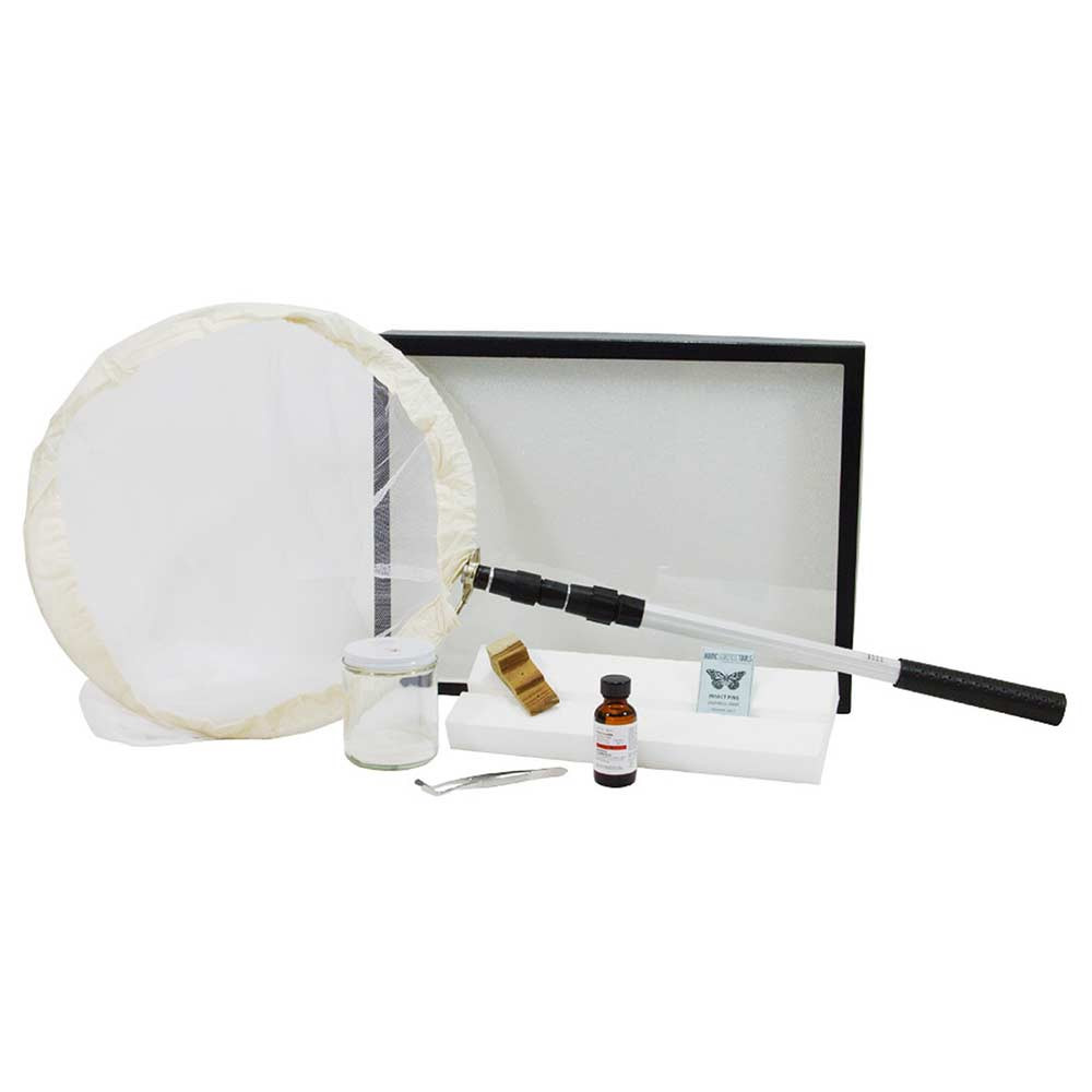 Deluxe Insect Collecting Kit Entomology Supplies HST