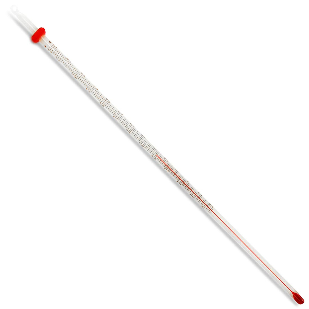 12 in. Thermometer