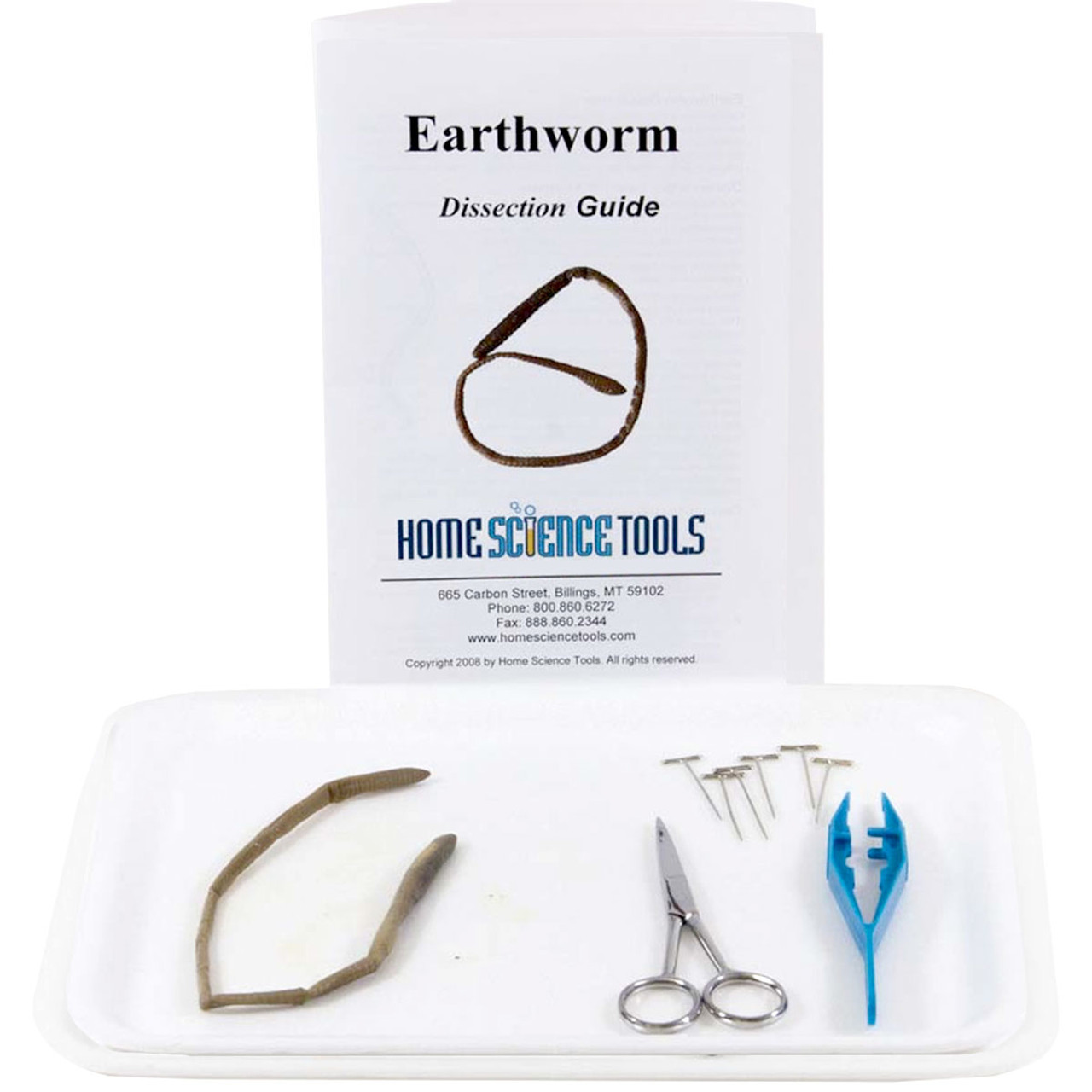 Worm Dissection Science Kit for Biology, Set of 100 Home Science Tools