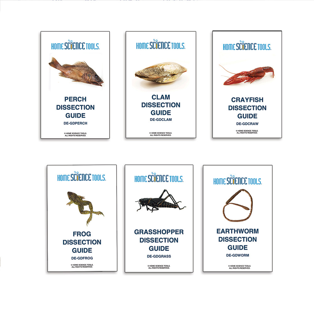 Intermediate Animal Dissection Kit for Students Ages 11+ | HST