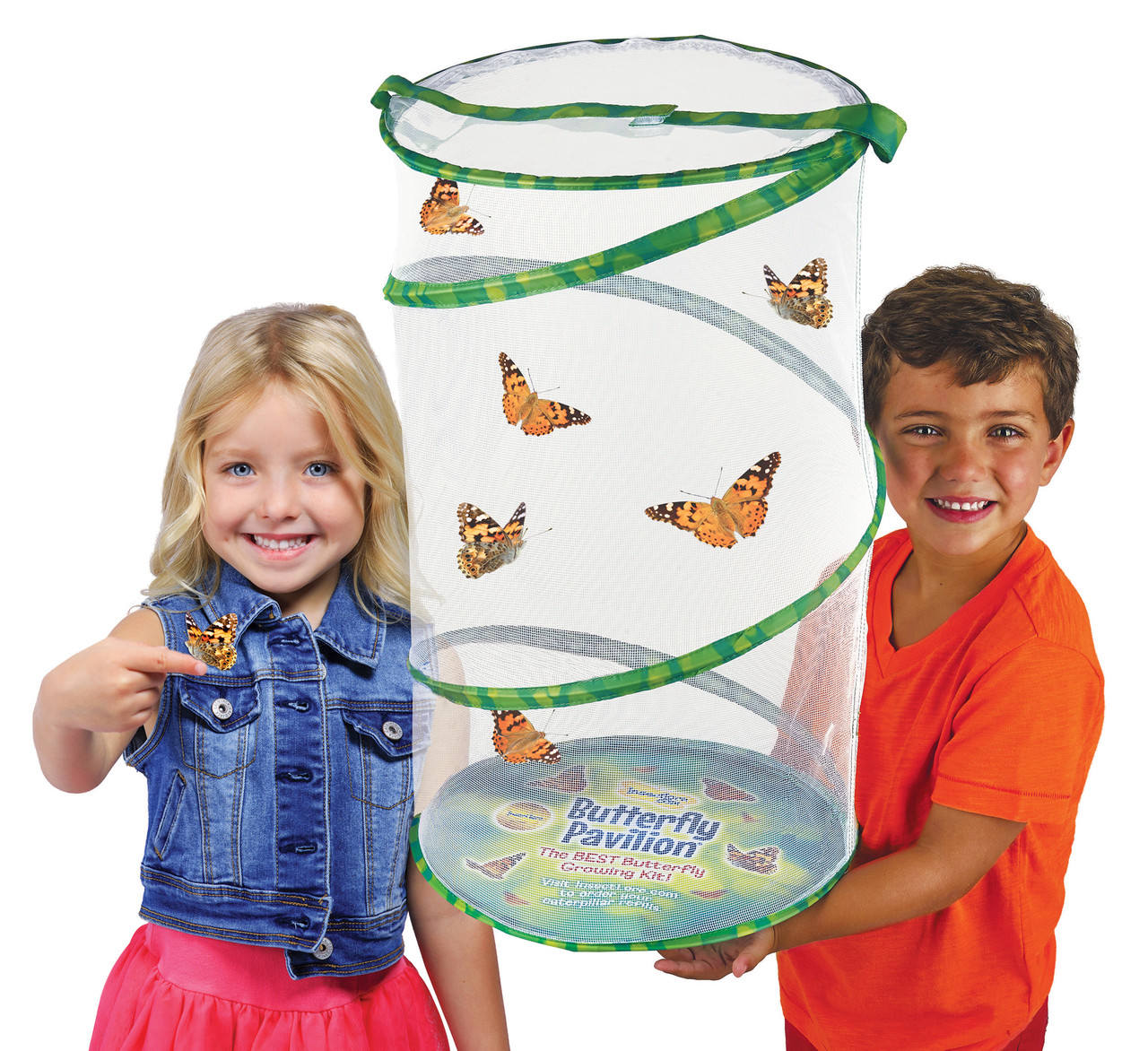 Butterfly Pavilion Kit: Pop-up Included Habitat Butterfly