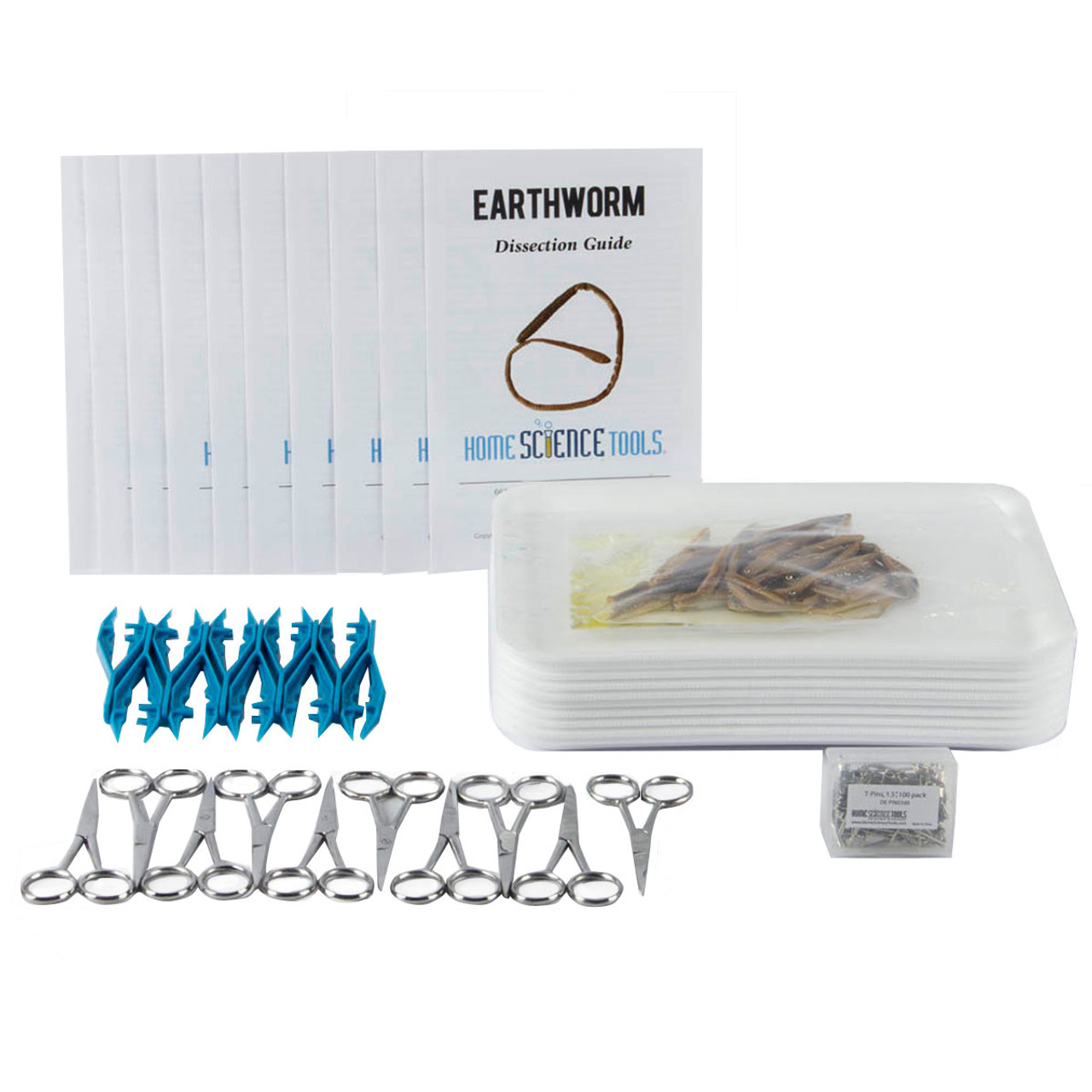 Classroom Worm Dissection Kit
