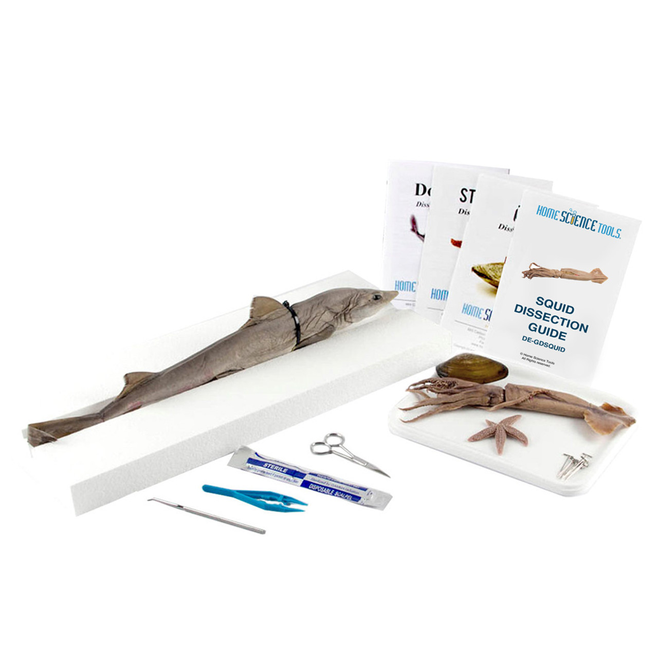 Marine Biology Dissection Kit | Home Science Tools