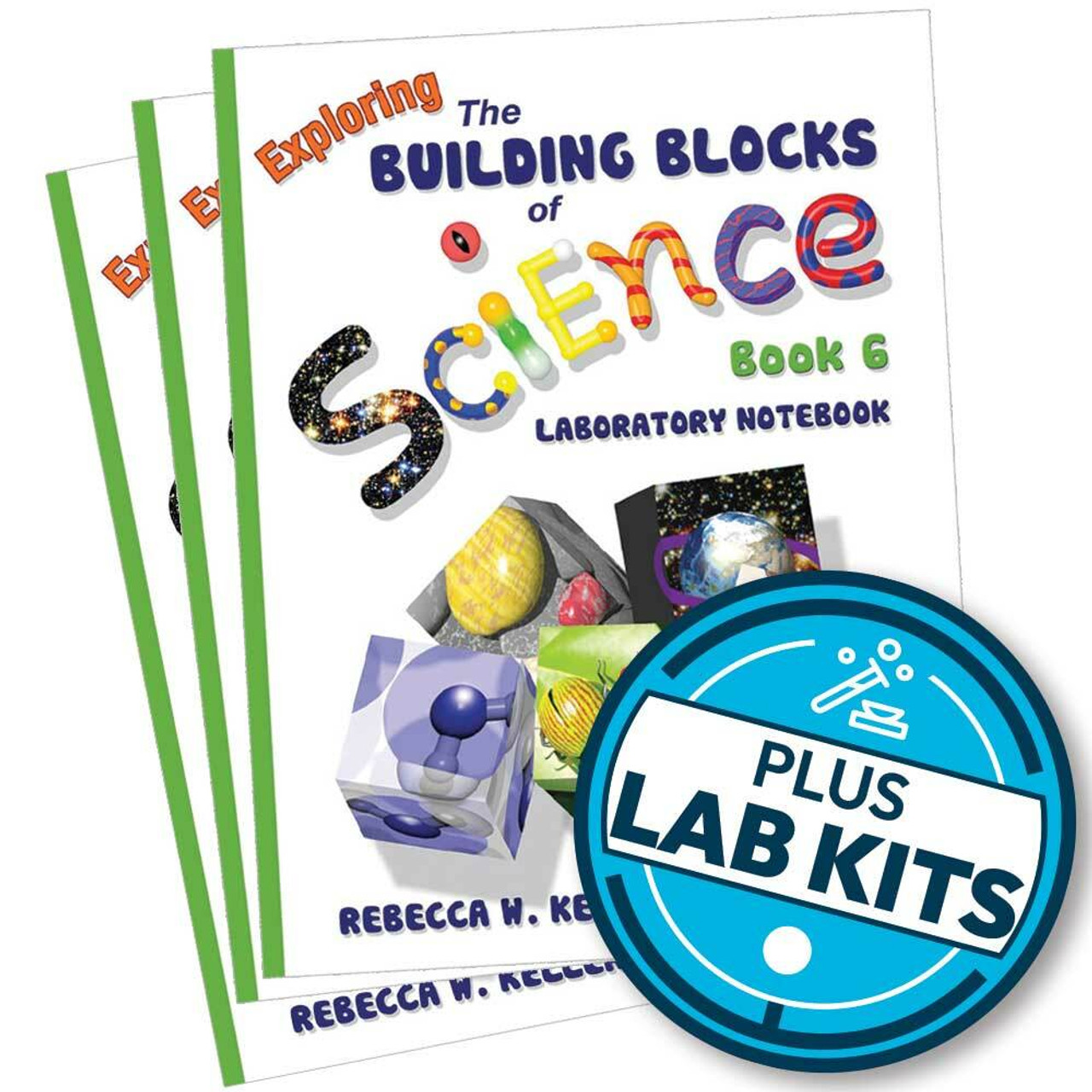 Building Blocks of Science Curriculum Book 6