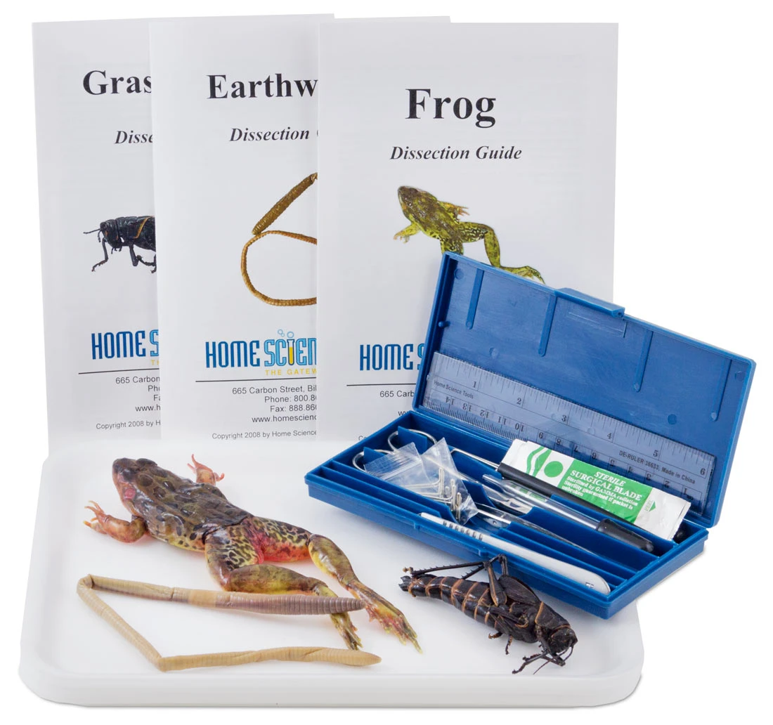 Student Dissection Kit for Science Anatomy Labs