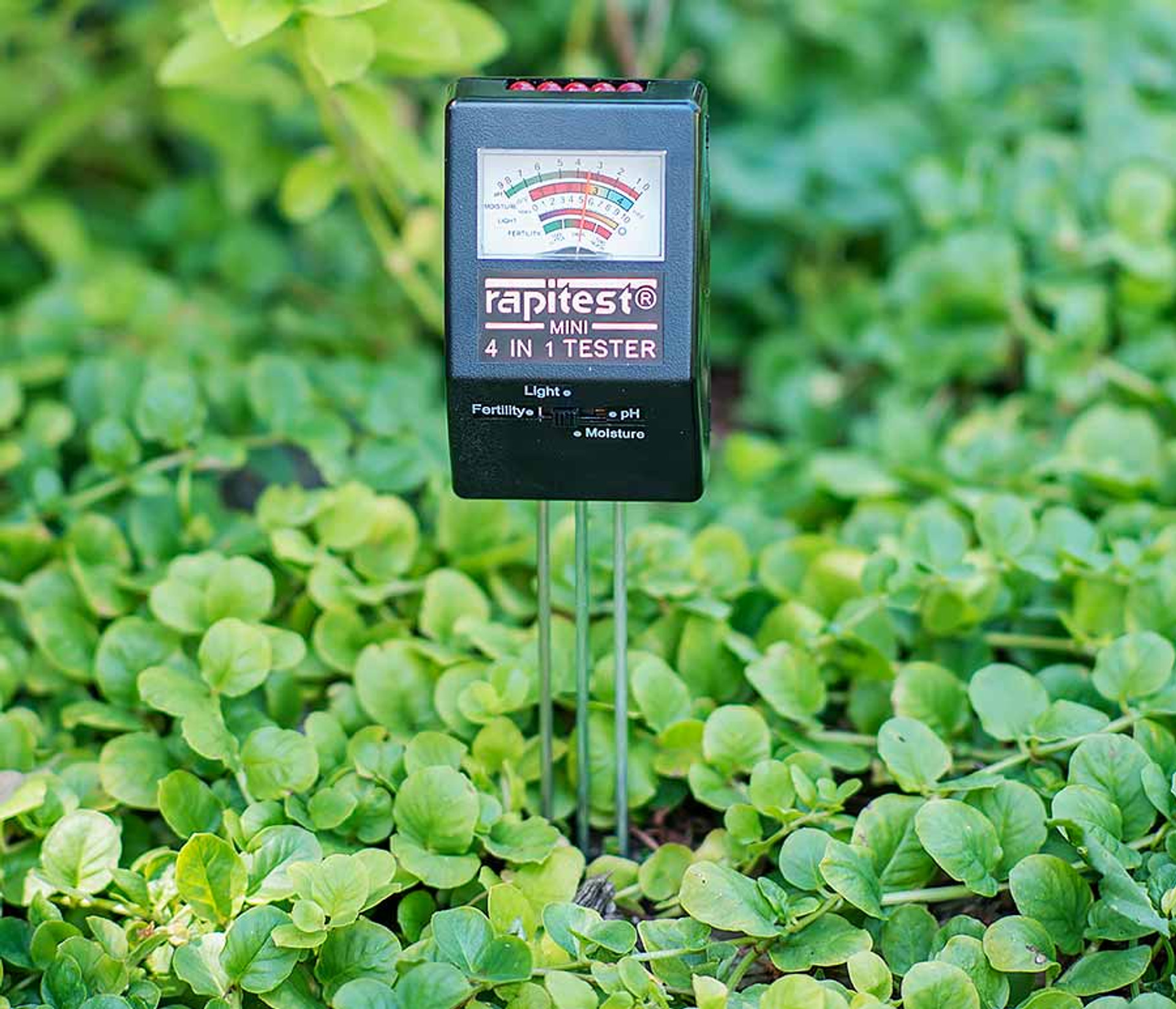 Soil pH Tester & Soil Analyzer from Rapitest Home Science Tools