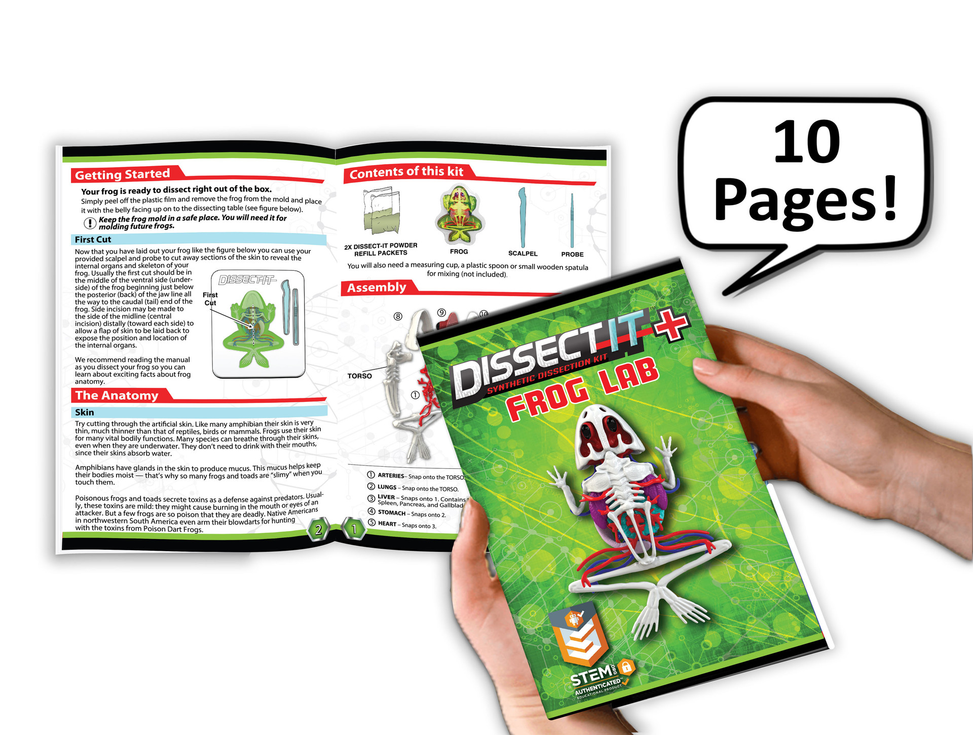 Dissect-It Synthetic Gel Frog Lab Plus