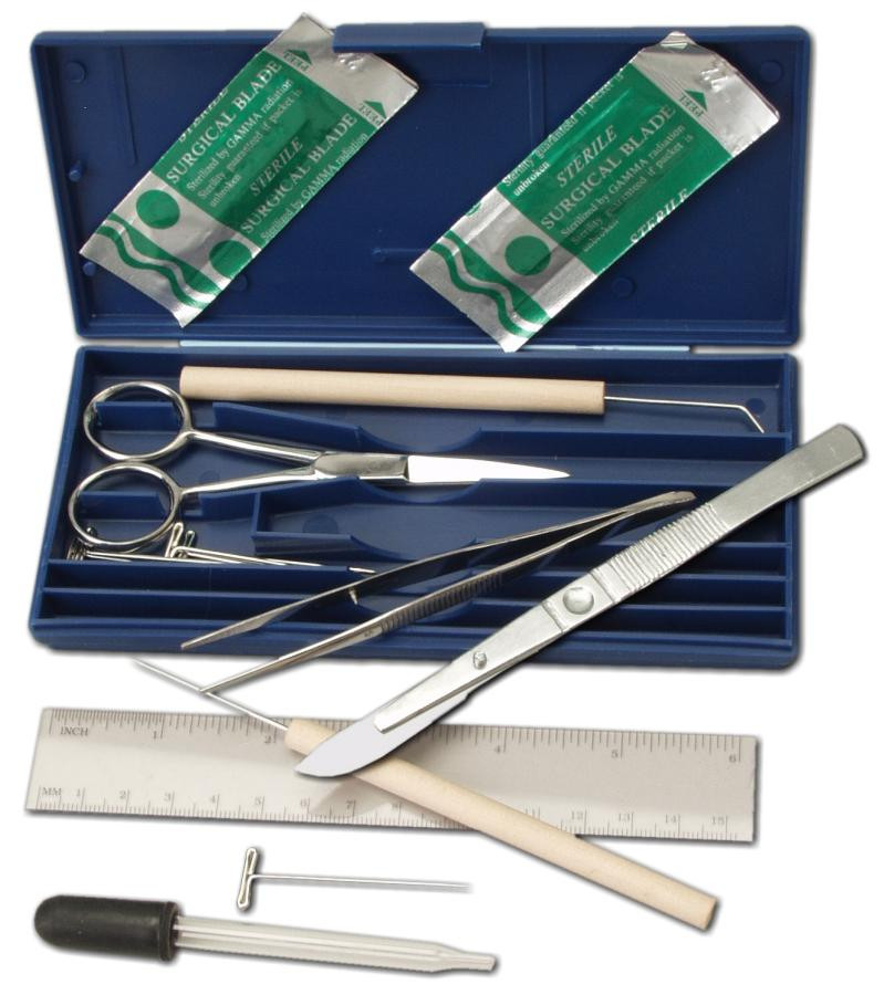 Veterinario Che Pulisce Gli Strumenti Chirurgici Veterinari Immagine Veterinario Che Pulisce Gli Strumenti Chirurgici Veterinari Immagine