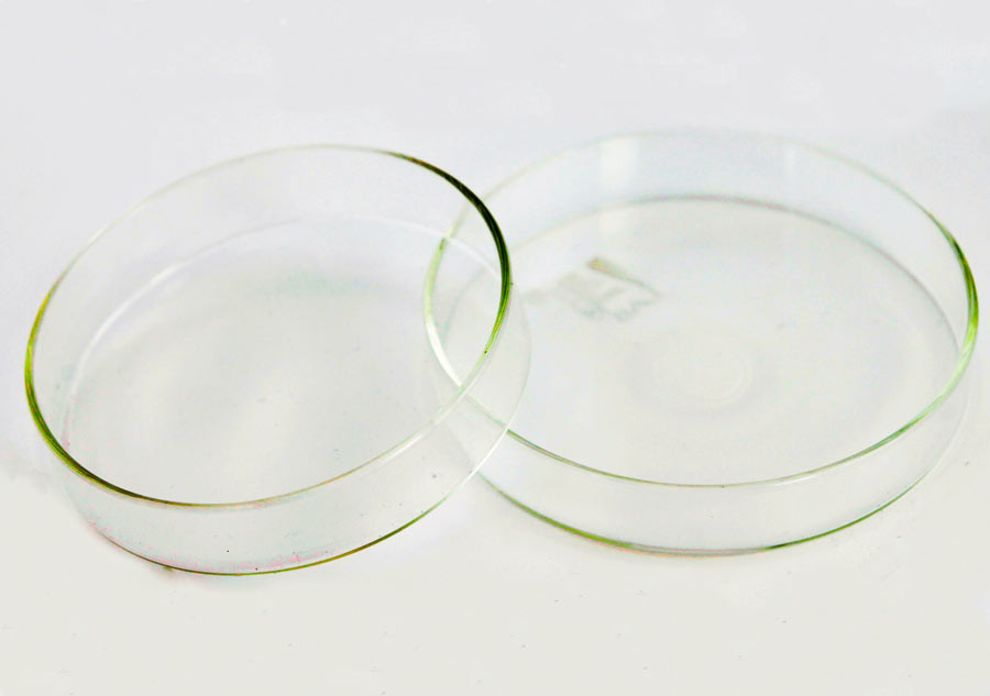 Glass Petri Dish reusable