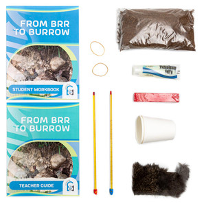 Science Unlocked: From Brr to Burrow Kit Contents