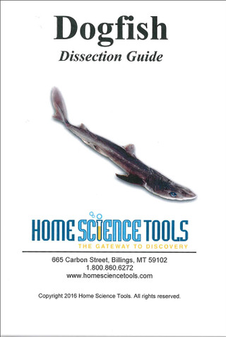 Shark Dissection Guide, basic