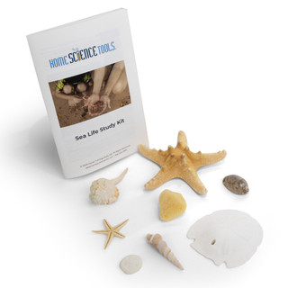 Sea Life Study Kit