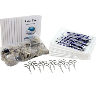 Classroom Cow Eye Dissection Kit