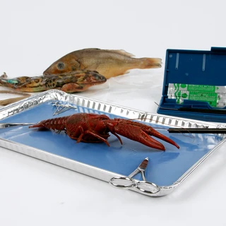 Apologia Biology Dissection Kit