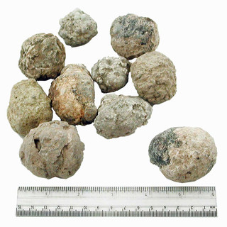 Medium Crack-Open Geodes, Box of 10