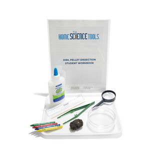 Owl Pellet Dissection Kit