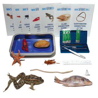 Intermediate Dissection Kit