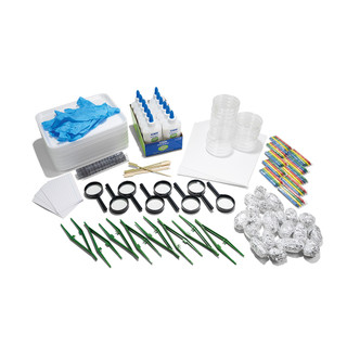 Owl Pellet Dissection Kit, 20 pack