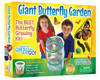 Insect Lore Giant Butterfly Garden, 18"