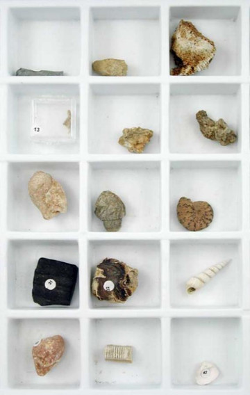 Introductory Rock Collection, 15 specimens