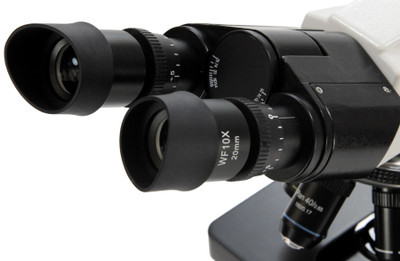 Eyepieces of Laboratory Binocular Microscope