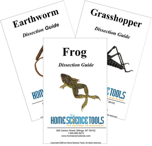 Dissection tools worksheet