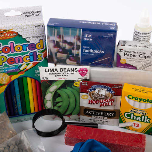 Real Science4Kids Elementary Lab Kit
