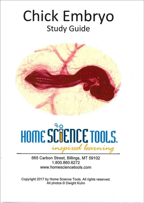 Chick Embryo Study Guide