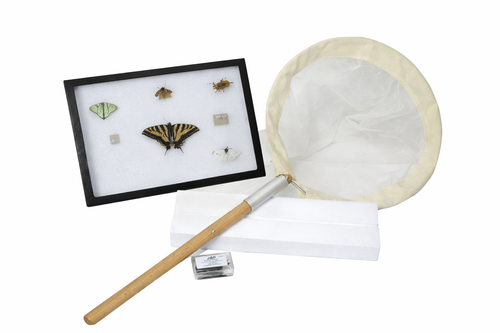 Insect Collecting Kit