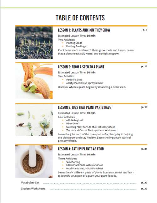 plant lesson plans from hst explore science k 2 plants