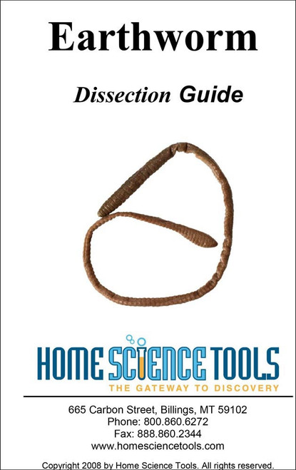 Earthworm Dissection Guide