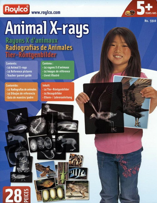 Animal X-Rays Set