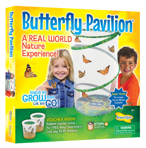Best Insect Lore Butterfly Garden Original Habitat and Live Cup of Caterpillars 