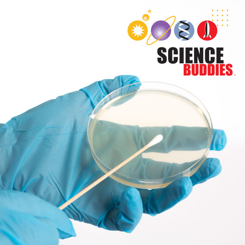 Bacteria Discovery Kit Science Buddies Interactive Fun