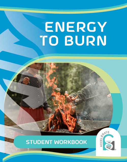 Image of Student Workbook