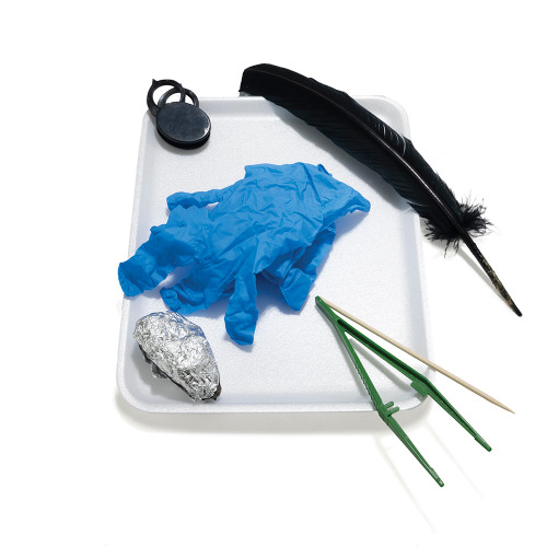 Journey Homeschool Academy World of Birds Kit