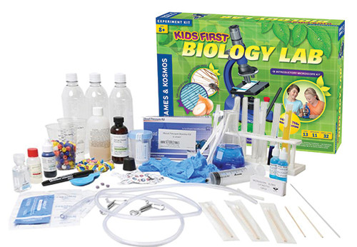 Fisher Science Education Pipe Cleaners:Education Supplies:Biology Classroom