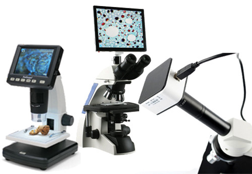 Digital Microscopes For Sale