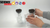hydroponics kit