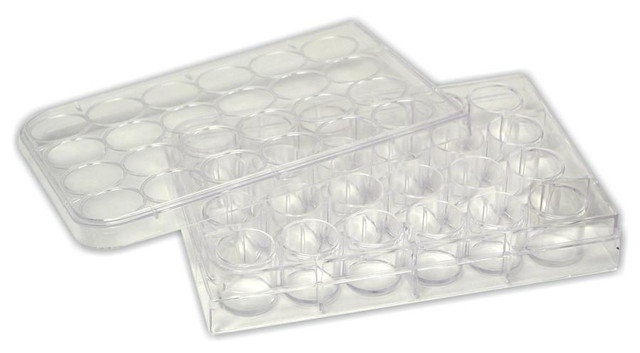 Glass Plate Science, 5