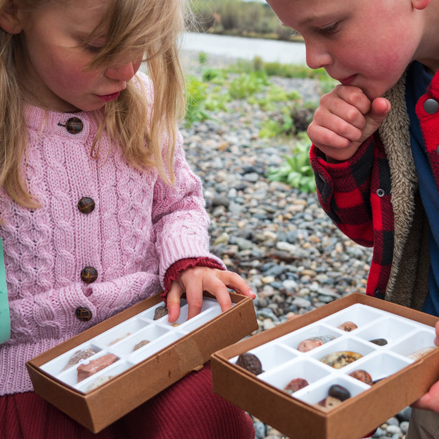 Rock and Mineral Samples Box Kit | Home Science Tools